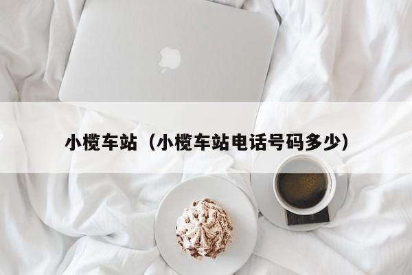 小榄车站（小榄车站电话号码多少）