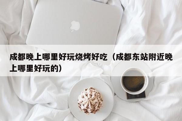 成都晚上哪里好玩烧烤好吃（成都东站附近晚上哪里好玩的）