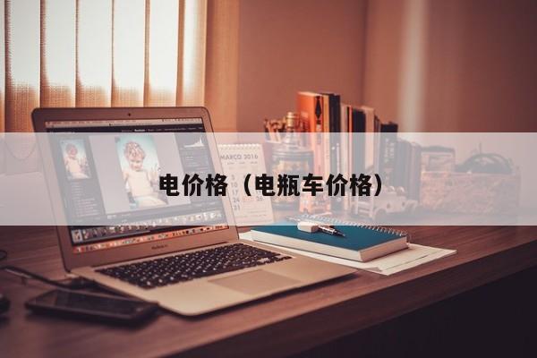 电价格（电瓶车价格）