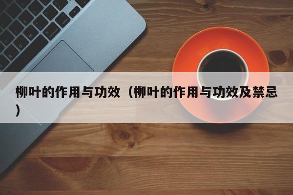 柳叶的作用与功效（柳叶的作用与功效及禁忌）