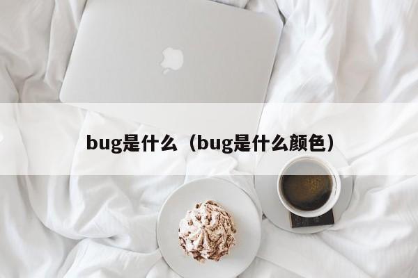 bug是什么（bug是什么颜色）