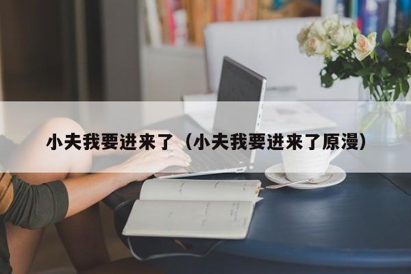 小夫我要进来了（小夫我要进来了原漫）