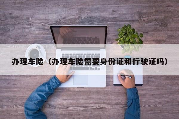 办理车险（办理车险需要身份证和行驶证吗）