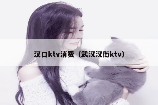 汉口ktv消费（武汉汉街ktv）