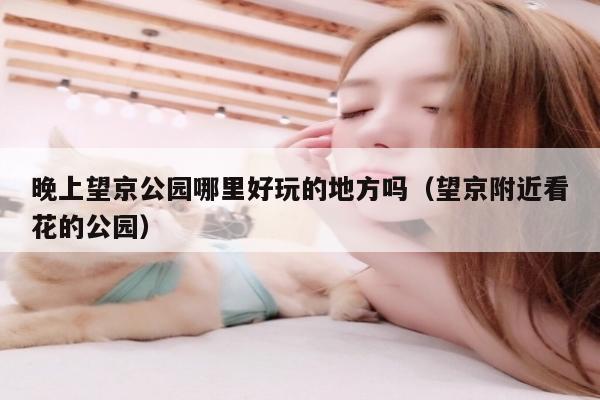 晚上望京公园哪里好玩的地方吗（望京附近看花的公园）