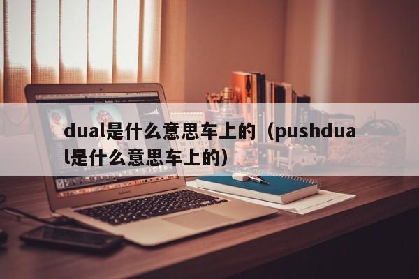 dual是什么意思车上的（pushdual是什么意思车上的）
