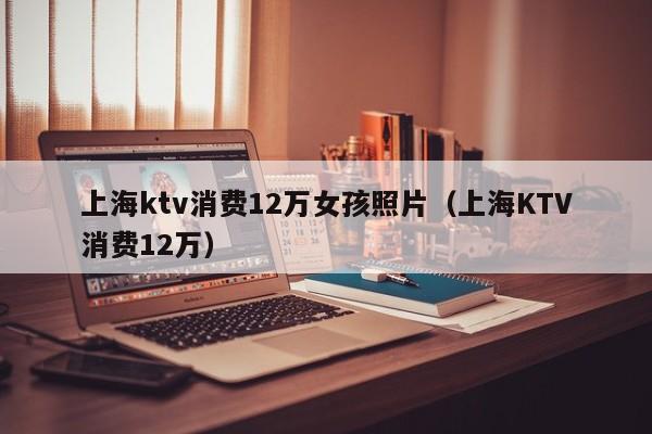 上海ktv消费12万女孩照片（上海KTV消费12万）