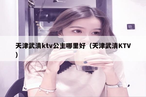 天津武清ktv公主哪里好（天津武清KTV）