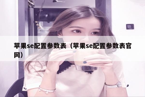 苹果se配置参数表（苹果se配置参数表官网）