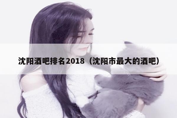 沈阳酒吧排名2018（沈阳市最大的酒吧）