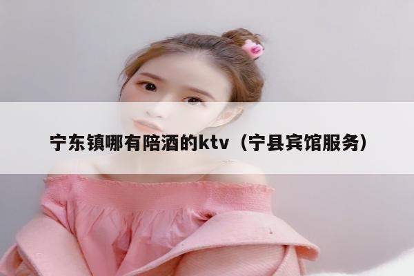 宁东镇哪有陪酒的ktv（宁县宾馆服务）
