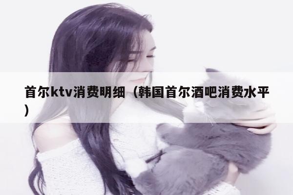 首尔ktv消费明细（韩国首尔酒吧消费水平）